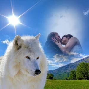 Meet your Posher, Danny